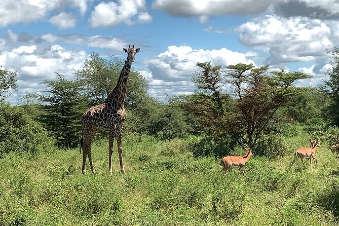 3 Days Mikumi National Park Private Tour - Day one: six hours on the road, then an afternoon drive