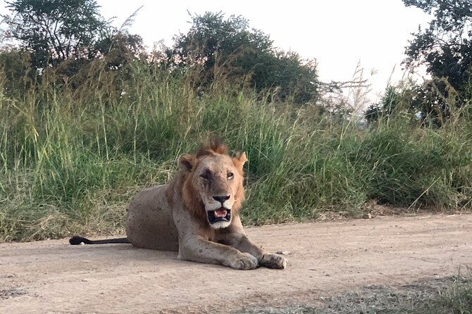 3 Days Mikumi National Park Private Tour - Is $641.03 per person good value?