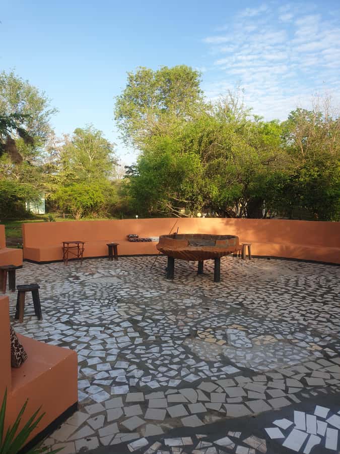3 DAYS NYERERE NATIONAL PARK FROM ZANZIBAR BY FLIGHT. - Key points to know before booking