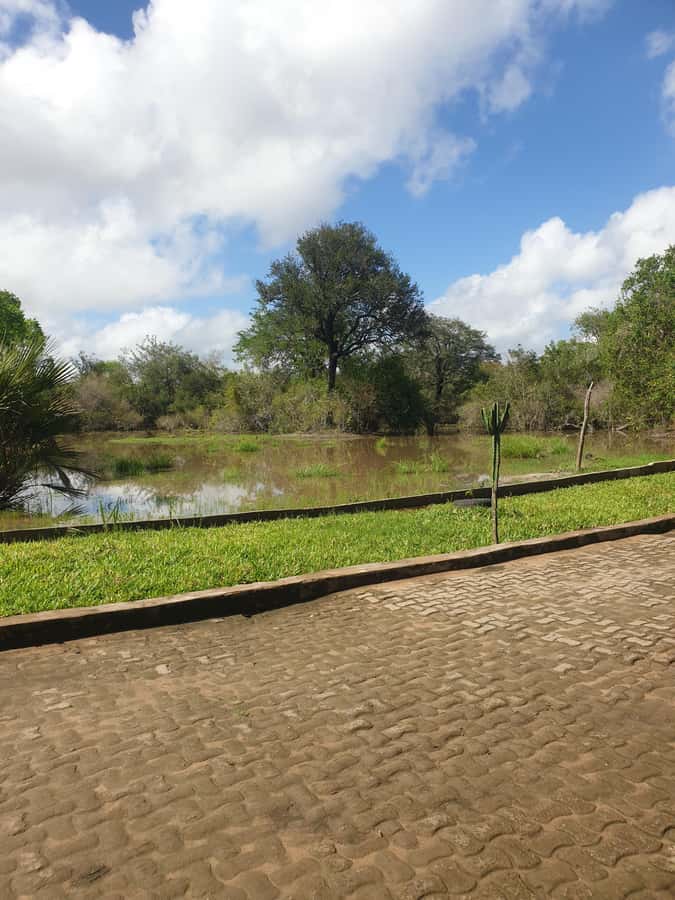 3 DAYS NYERERE NATIONAL PARK FROM ZANZIBAR BY FLIGHT. - Why this three-day safari works from Zanzibar