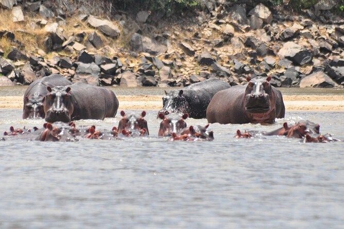 3 Days Nyerere National Park Safari (Selous Game Reserve) - Who should book this safari?