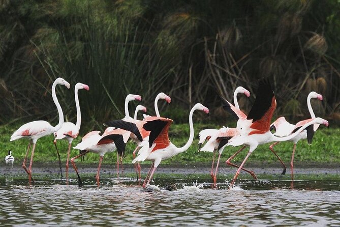 3 Days Nyerere National Park Safari (Selous Game Reserve) - The five-hour road from Dar es Salaam