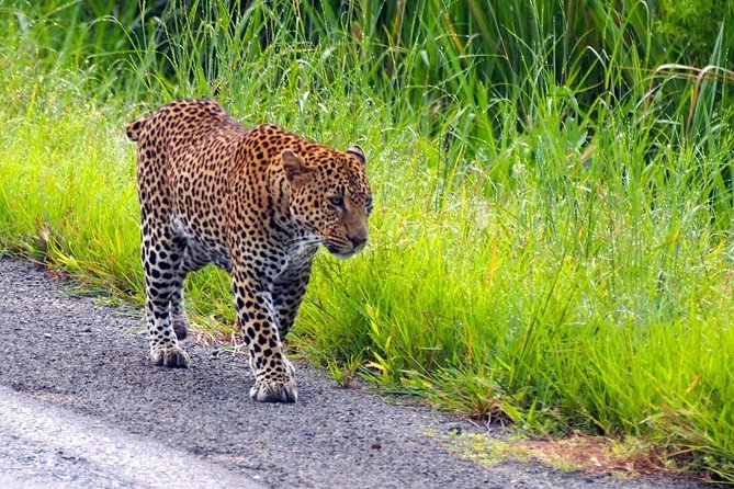 3 Days Safari at Mikumi National Park Southern circuit of Tanzania - The early start that gives Day 2 its best chance