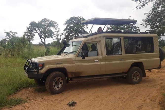 3 Days Safari - Mikumi National Park - Who will get the most from this safari