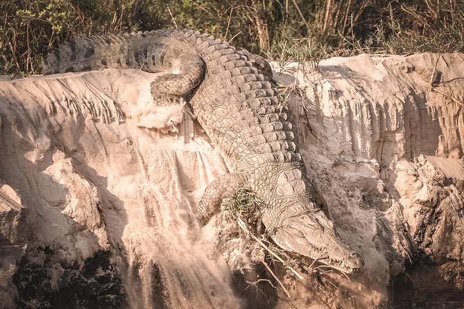 3 Days Safari - Mikumi National Park - Practical details that matter