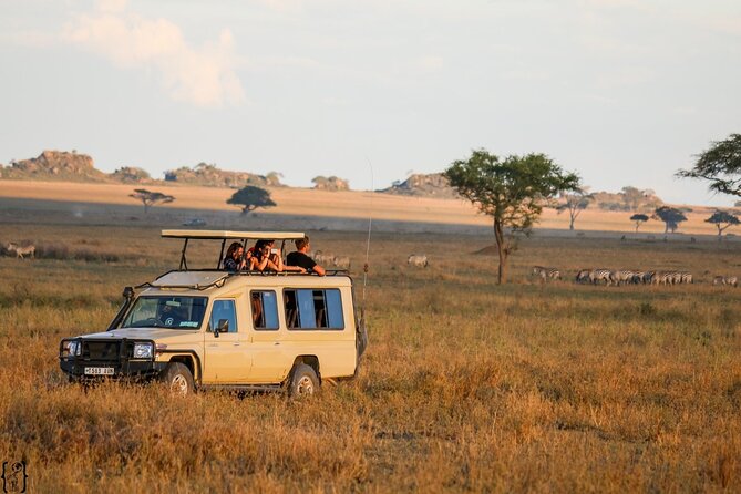 3 Days Safari Ngorongoro Crater and Serengeti National Park - What this three-day safari is really like