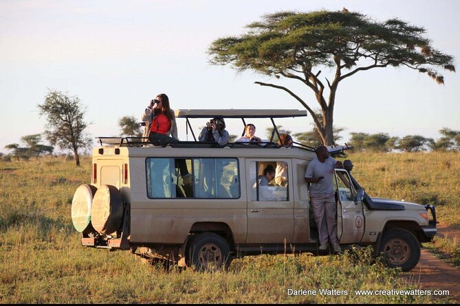 3 Days Safari Ngorongoro Crater and Serengeti National Park - Camping, meals, and comfort
