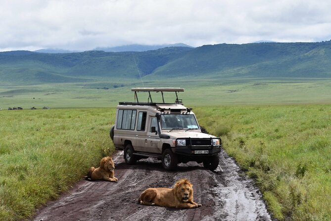 3 Days Safari Ngorongoro Crater and Serengeti National Park - Is $810 per person good value?