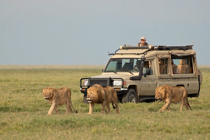 3 Days Safari Ngorongoro Crater and Serengeti National Park - Day one: the long road into southern Serengeti