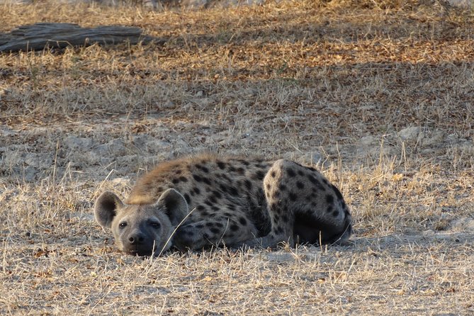 3 Days Safari to Nyerere National Park (Selous Game Reserve) - Two nights at the lodge