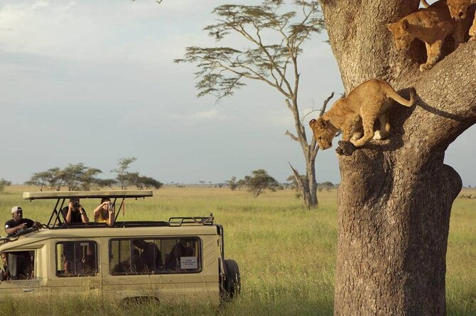 3 Days Safari to Serengeti National Park & Ngorongoro Crater in Tanzania - Day 2: early wildlife viewing and the road toward Ngorongoro