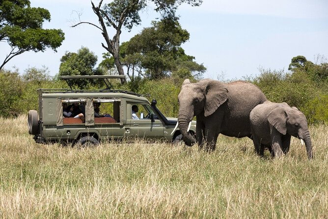 3 Days Safari Tour to Serengeti National Park - Three days gives the Serengeti room to unfold