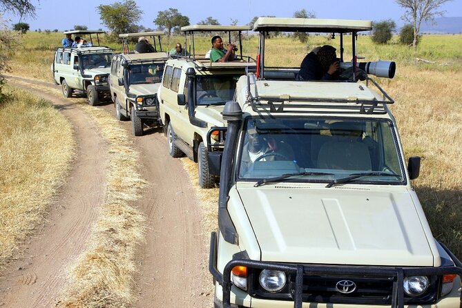 3 Days Safari Tour to Serengeti National Park - Leaving Arusha for the park on Day 1