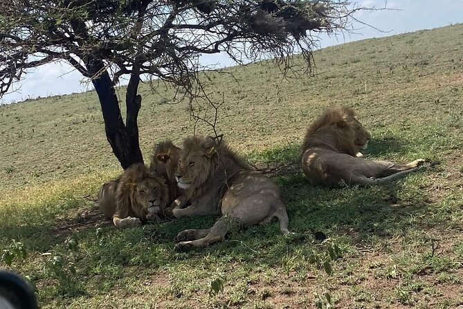 3 Days Selous (Nyerere National Park) - What the private format really gives you