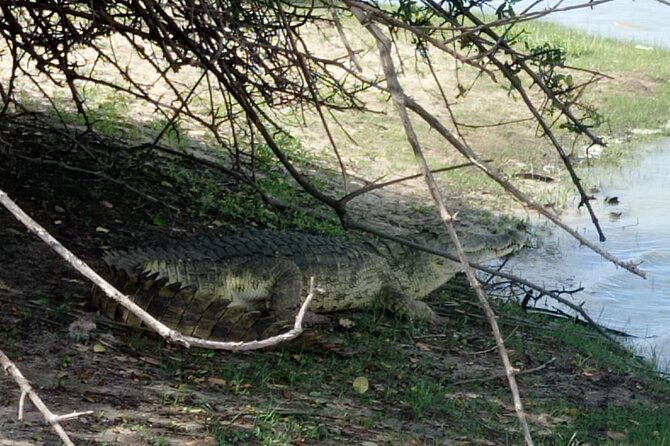 3 Days Selous (Nyerere National Park) - Is $850 a fair price?