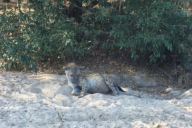 3 Days Selous (Nyerere National Park) - Day one: leaving Dar es Salaam for the Rufiji River