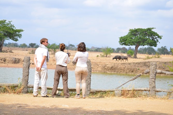 3 Days to Mikumi National Park From Dar es salaam - Is the $850 price good value?