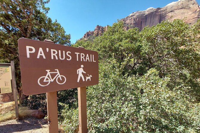 3 Hour Guided E Bike Tour in Zion National Park - Snacks, timing, and what to bring