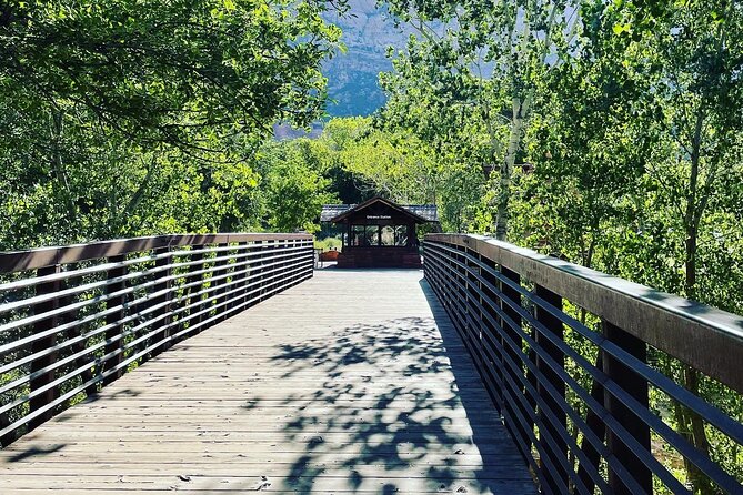 3 Hour Guided E Bike Tour in Zion National Park - Starting in Springdale at 736 Zion Park Boulevard