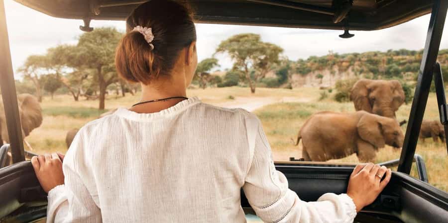 3-Hour Shared Game Drive in Pilanesberg National Park - Why this safari works well from Sun City