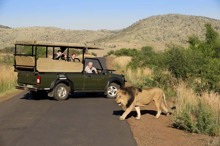 3-Hour Shared Game Drive in Pilanesberg National Park - The 15-minute transfer to Pilanesberg