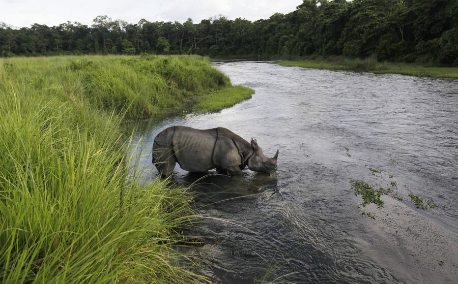 3 Nights 4 Days Chitwan National Park with Tower Night Stay - Best season, clothes, and useful packing advice
