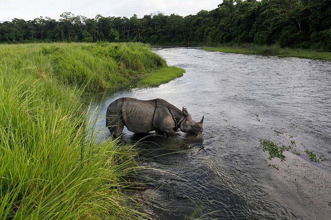 3 Nights 4 Days Chitwan National Park with Tower Night Stay - Jeep safari and the search for rhinos