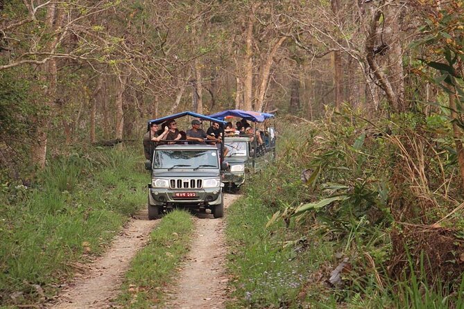 3 Nights 4 Days Chitwan National Park with Tower Night Stay - The second full day adds breathing room