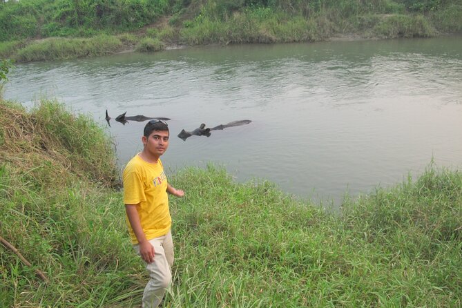 3 Nights 4 Days Chitwan National Park with Tower Night Stay - Food, rooms, and the practical side