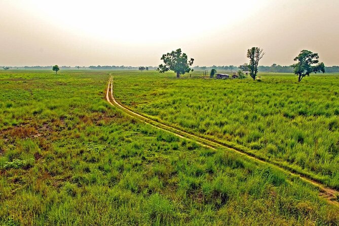 3 Nights 4 Days Chitwan National Park with Tower Night Stay - Day 1: Kathmandu or Pokhara to the Rapti River