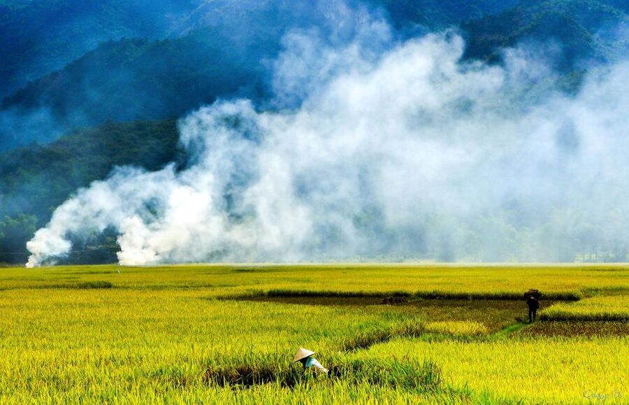 3D2N Mai Chau - Pu Luong from rice valley to nature reserve - Day 2: from Mai Chau into Pu Luong