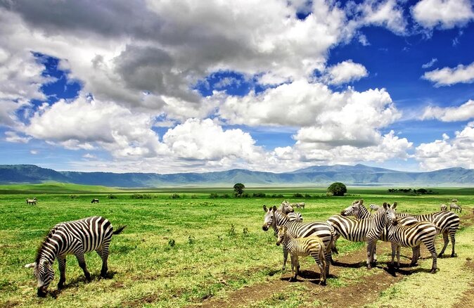 3days Serengeti National park and Ngorongoro Crater Tanzania Safari - Key points to know before booking