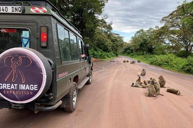 3days Serengeti National park and Ngorongoro Crater Tanzania Safari - Why this three day route works