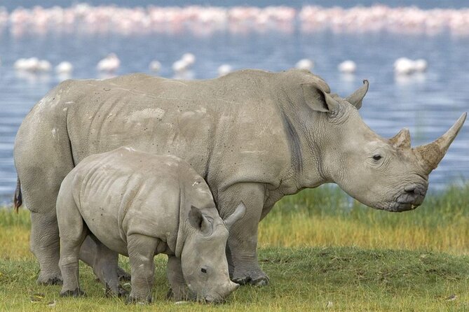4 Day Addo Elephant National Park & Garden Route From Cape Town - A four-day sweep from Cape Town to the Eastern Cape