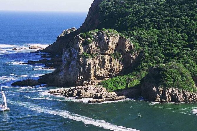 4 Day Addo Elephant National Park & Garden Route From Cape Town - Day three: a full day in Addo Elephant National Park