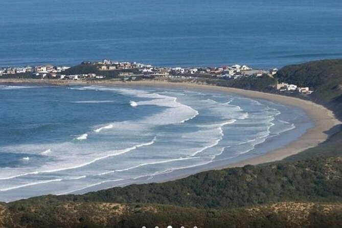 4 Day Addo Elephant National Park & Garden Route From Cape Town - Day four: Route 62 through the Klein Karoo