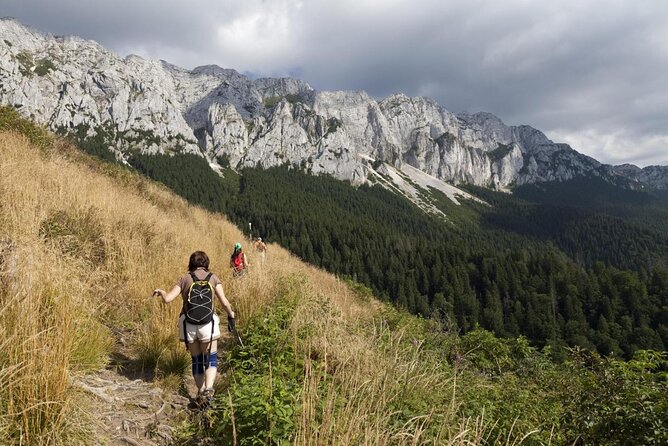 4-Day Carpathian Trek: Bucegi Mountains and Piatra Craiului National Park - Key points to know before you book