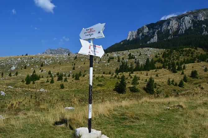 4-Day Carpathian Trek: Bucegi Mountains and Piatra Craiului National Park - Day four and the 2,238-meter decision