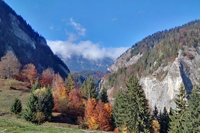 4-Day Carpathian Trek: Bucegi Mountains and Piatra Craiului National Park - Guesthouses, meals, and rural comfort