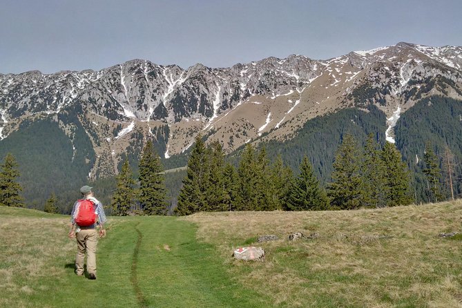 4-Day Carpathian Trek: Bucegi Mountains and Piatra Craiului National Park - Three days around Piatra Craiului National Park