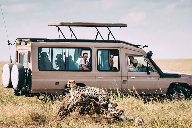 4 Day Ngorongoro Crater Tarangire and Serengeti National Park - Day 4: Down into Ngorongoro Crater