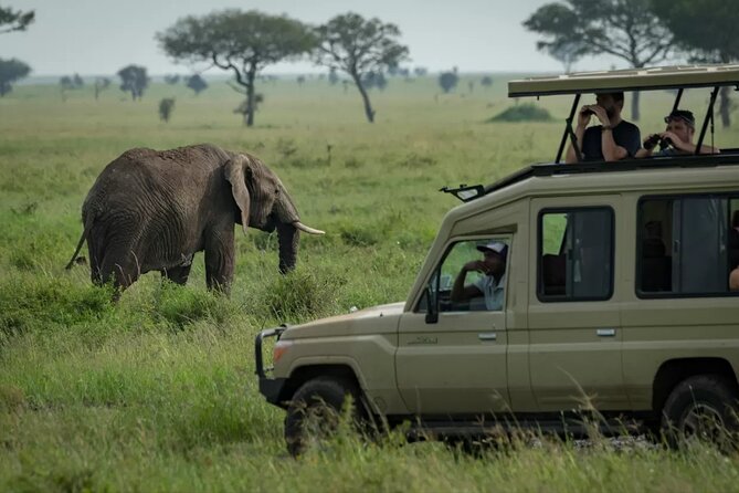 4 Day Ngorongoro Crater Tarangire and Serengeti National Park - Guides, drivers, and the part that can make or break the trip