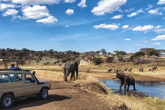 4 Day Private Camping Safari in Serengeti,Ngorongoro and Tarangire National Park - What this four-day safari is really like