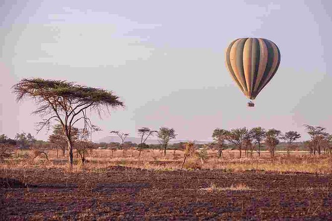 4 Day Private Camping Safari in Serengeti,Ngorongoro and Tarangire National Park - Day 1: Baobabs and elephants in Tarangire