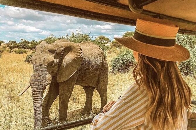 4 Day Private Wilderness Safari in Arusha - Key points at a glance
