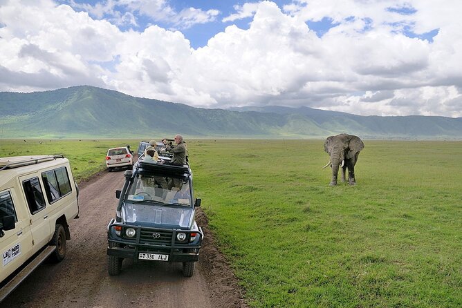 4 Day Private Wilderness Safari in Arusha - Day 3: a sunrise game drive and the road to Rhino Lodge