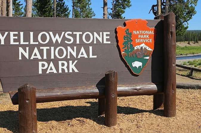 4-Day Salt Lake City, Grand Teton, Yellowstone National Park Tour - Day three: Yellowstone’s geysers, canyon, and wildlife