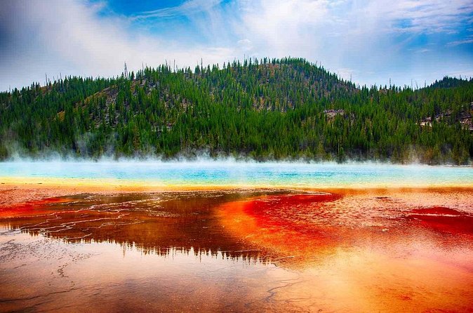 4-Day Salt Lake City, Grand Teton, Yellowstone National Park Tour - Day four: Grand Prismatic, Bear World, and the Great Salt Lake