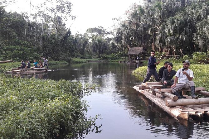 4 Day Tour to the Manu National Park - Day 4: Returning upriver and back to Cusco
