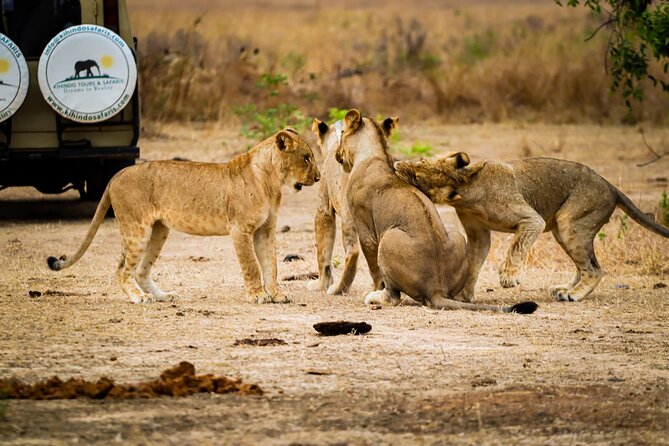 4 Days 3 Nights Safari to Mikumi National Park - Private transport changes the pace